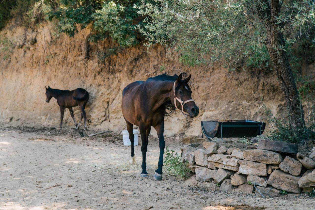 Leano Agriresort Piazza Armerina Bagian luar foto