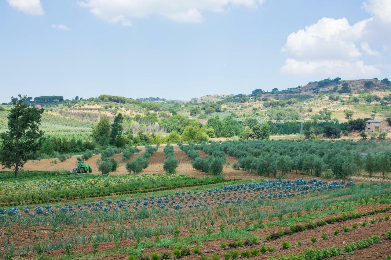 Leano Agriresort Piazza Armerina Bagian luar foto