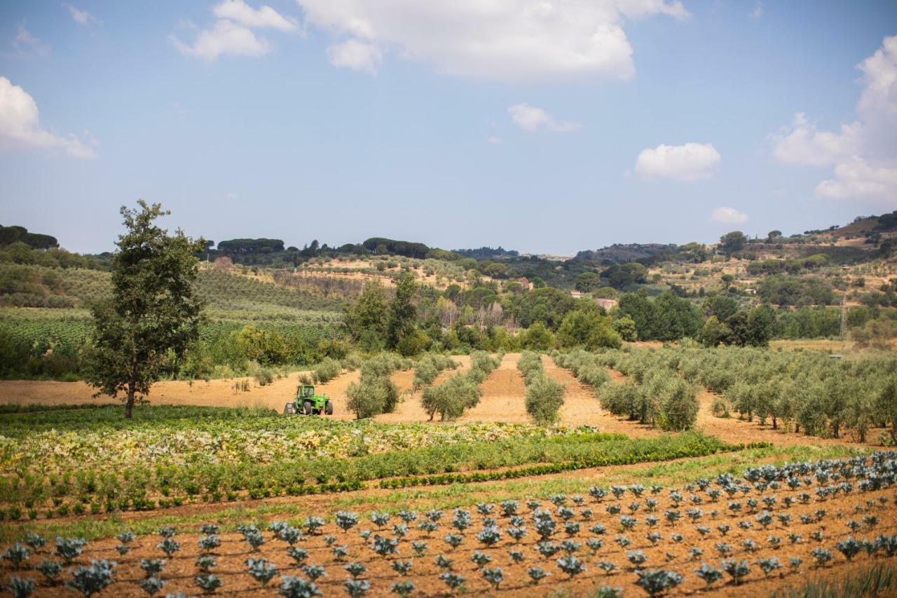 Leano Agriresort Piazza Armerina Bagian luar foto